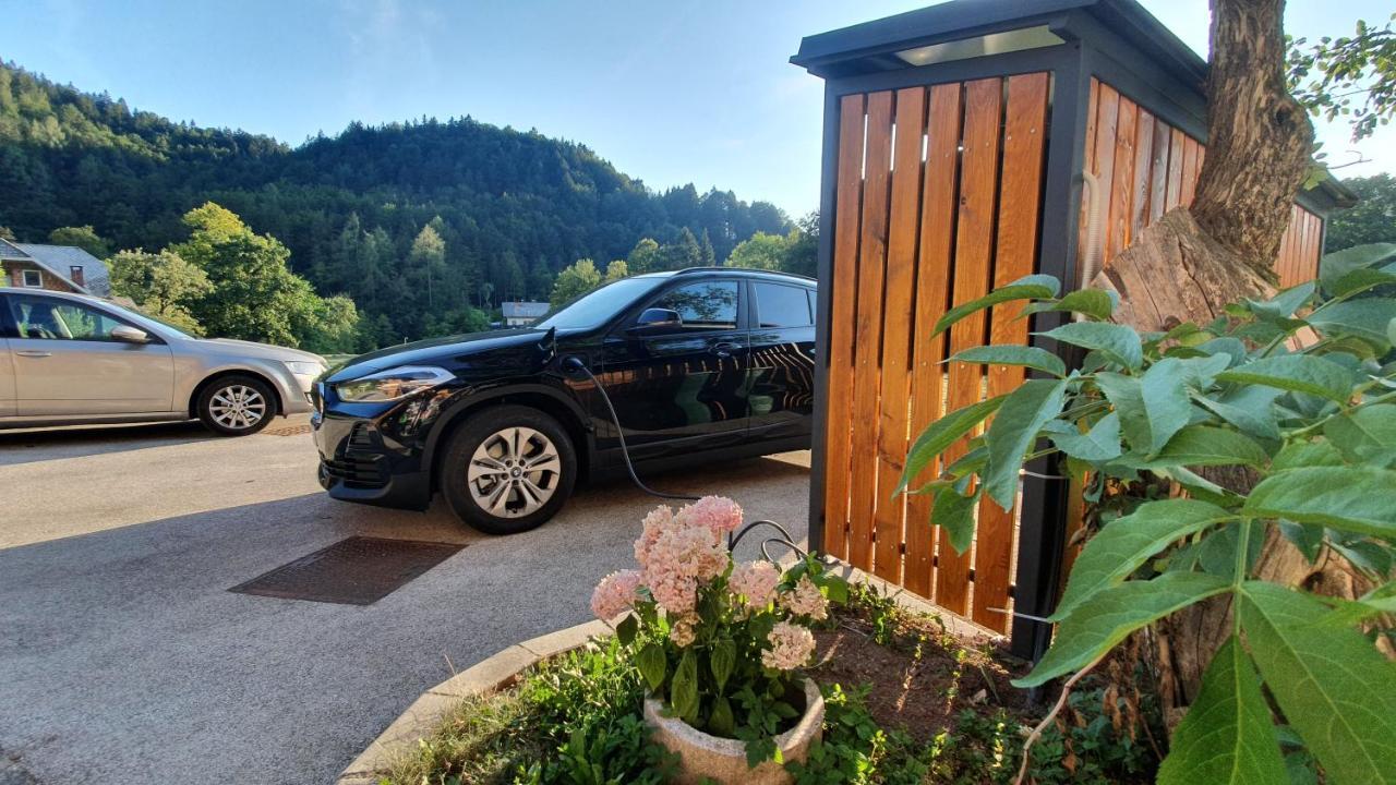 Apartments Tourist Farm Storman With Ev Ch-Station Тржич Экстерьер фото