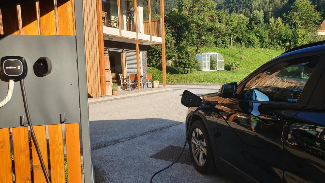 Apartments Tourist Farm Storman With Ev Ch-Station Тржич Экстерьер фото